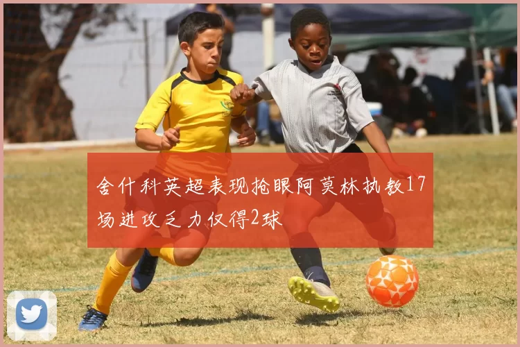 舍什科英超表现抢眼阿莫林执教17场进攻乏力仅得2球