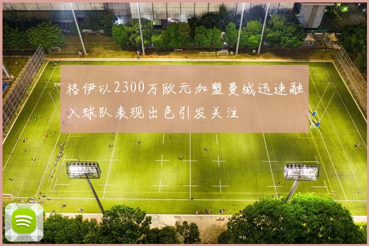 格伊以2300万欧元加盟曼城迅速融入球队表现出色引发关注